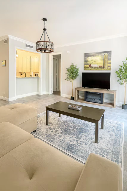 1 Bed 1 Bath Fully Furnished Luxury Renovated 3137 floor plan